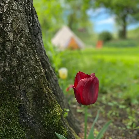 Tenda Glamping Medaglie D'oro Casone Sanguinetto
