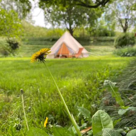 Tenda Glamping Medaglie D'oro